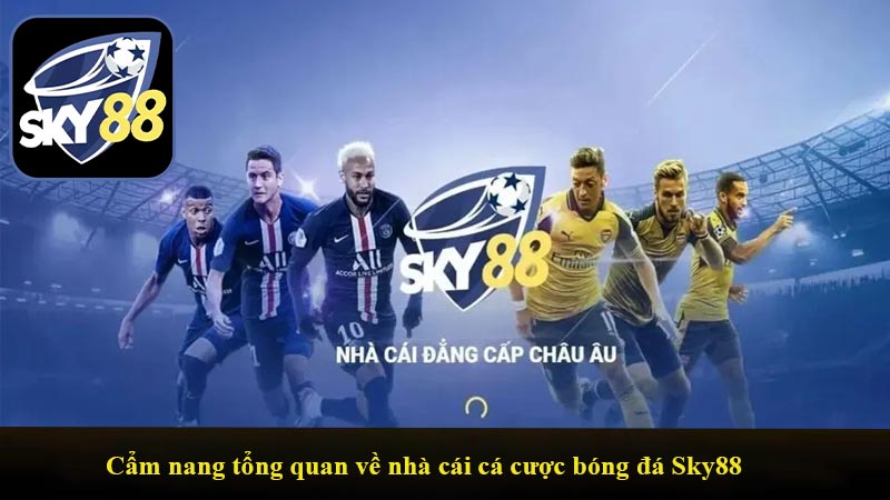 Cẩm nang tổng quan về nhà cái cá cược bóng đá Sky88